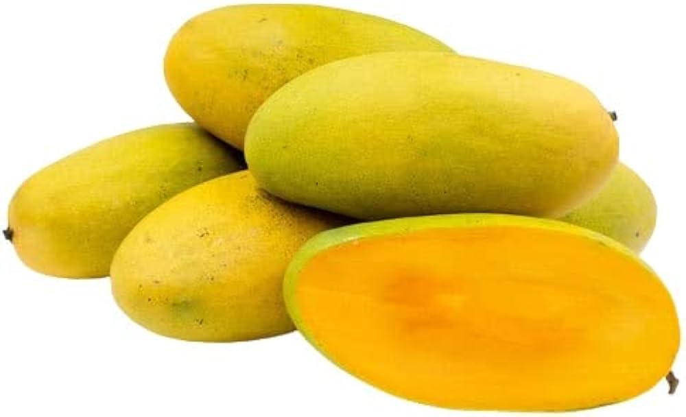 dasheri mango